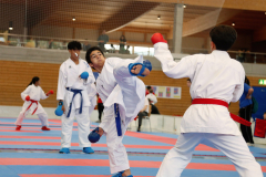 Kantonalmeisterschaft, Zürich, Bonstetten, 2024, Kumite, Schweiz, Caleb Gossweiler, Karl Ravas, Shukokai Dojo Wetzikon
