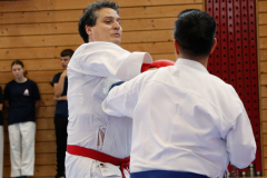 Kantonalmeisterschaft, Zürich, Bonstetten, 2024, Kumite, Schweiz, Dario Bugatti, Michael Ravas, Shukokai Dojo Wetzikon